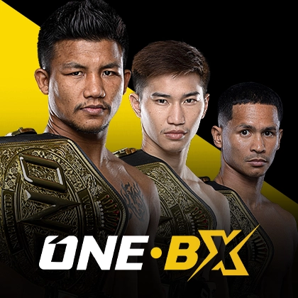 steal cover image png