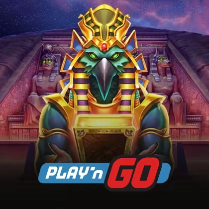 wt-pg-soft cover image png